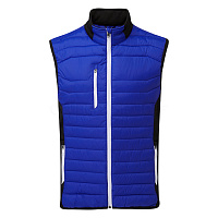 Картинка Жилет Sunderland of Scotland Anton Electric Blue/Black/White от магазина Гольф Маркет - магазин товаров для гольфа